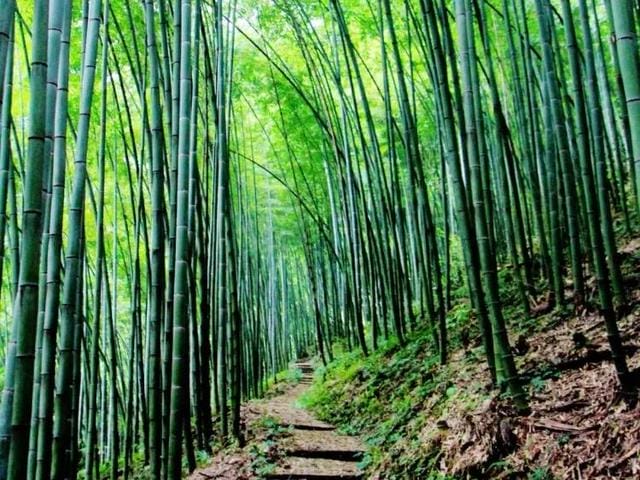 德阳旅游景点排行榜(四川德阳值得推荐的十个旅游景点) 德阳旅游景点排行榜 四川德阳值得推荐的十个旅游景点