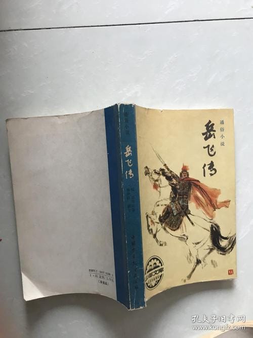 岳飞全集小说多少集 岳飞简介