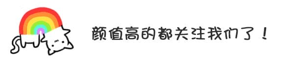 京巴犬好不好养(京巴犬漂亮又可爱) 京巴犬好不好养 京巴犬漂亮又可爱