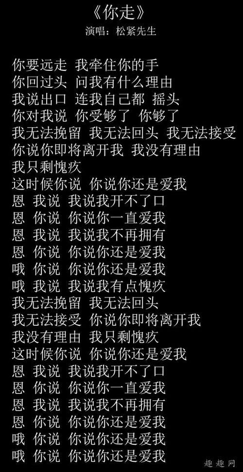 你走歌词 歌曲你走歌词