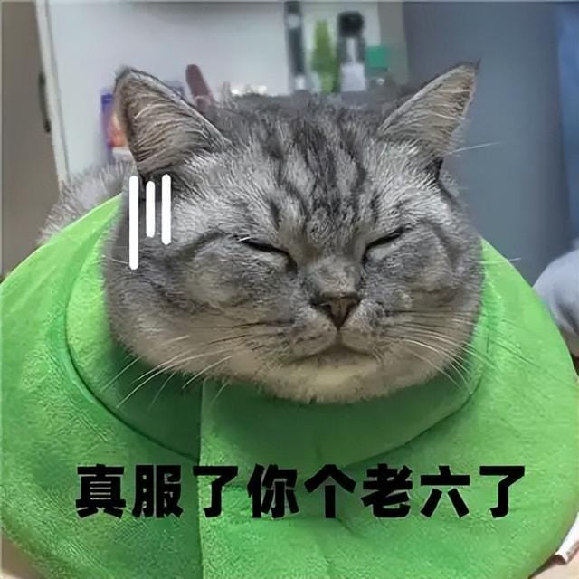 游戏里那些满满爱意的大招(力喵给你发福利) 游戏里那些满满爱意的大招 力喵给你发福利