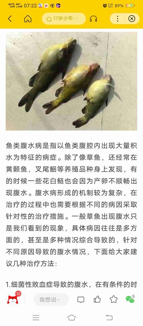 鱼肚子腹水怎么治疗方法 鱼肚子腹水如何治疗方法