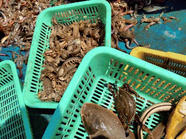 惠州距离深圳最近的沙滩(惠州这里距深圳) 惠州距离深圳最近的沙滩 惠州这里距深圳