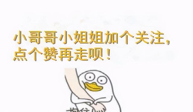 猫咪的哪些行为是想引起你的注意(猫咪最没教养的行为) 猫咪的哪些行为是想引起你的注意 猫咪最没教养的行为