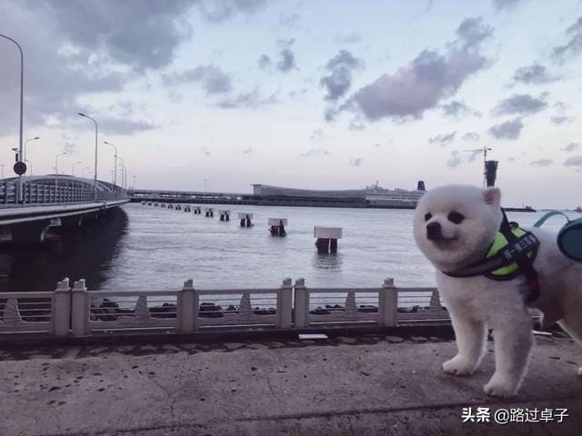 蓝色的海给人的感觉(和爱情一样让人失望) 蓝色的海给人的感觉 和爱情一样让人失望