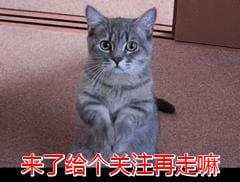 养猫要加温保暖吗(别再这样养猫了) 养猫要加温保暖吗 别再这样养猫了
