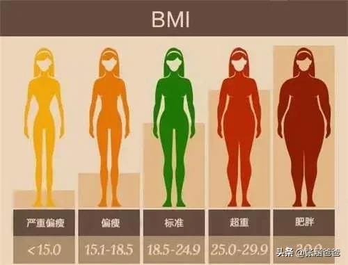 减肥一餐吃多少量就可以了(减肥时一天能吃多少) 减肥一餐吃多少量就可以了 减肥时一天能吃多少