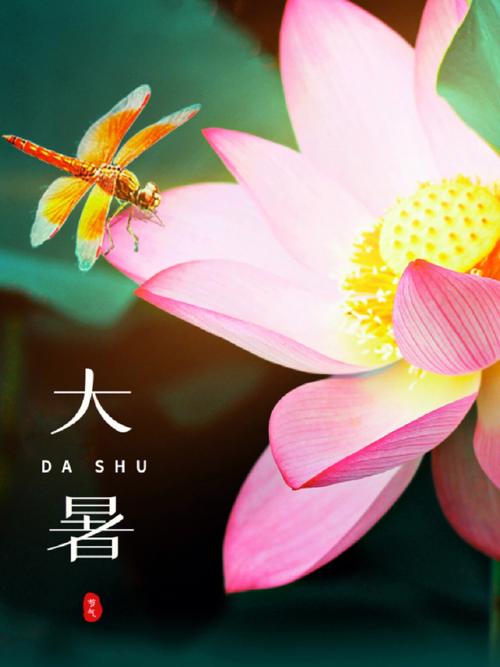 大暑节气介绍 大暑节气是什么意思