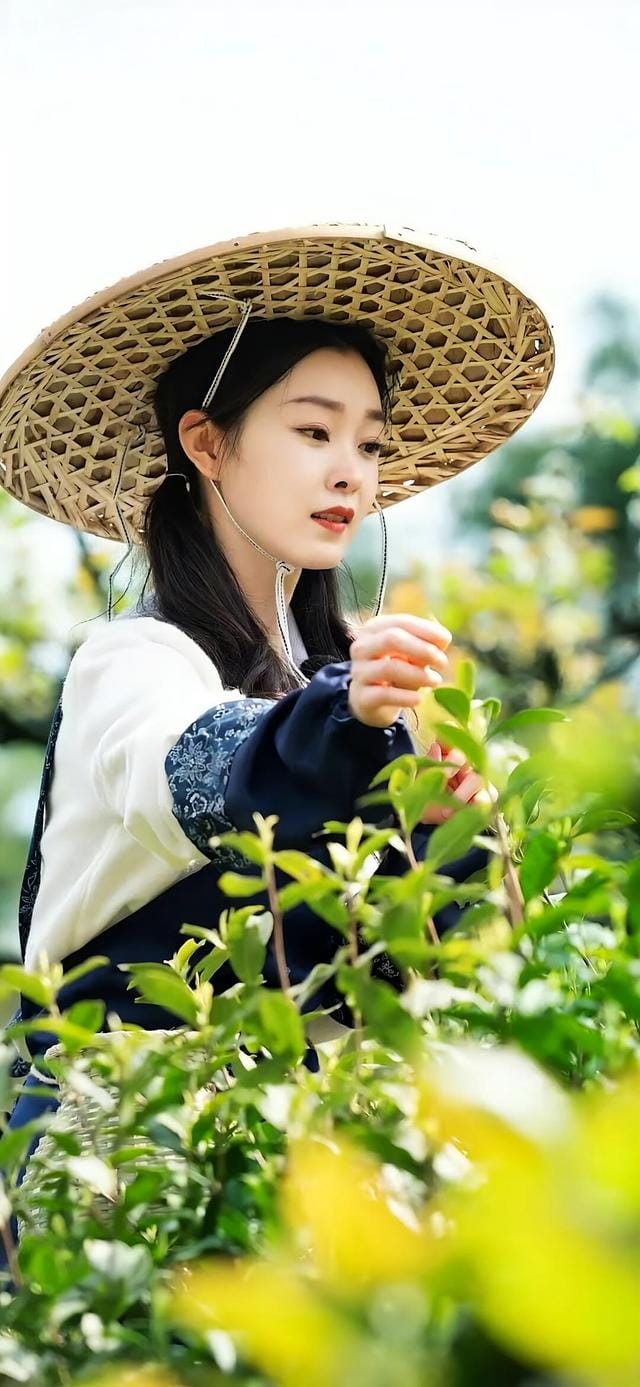 女演员宋轶今年有多大(这么漂亮的女孩子) 女演员宋轶今年有多大 这么漂亮的女孩子