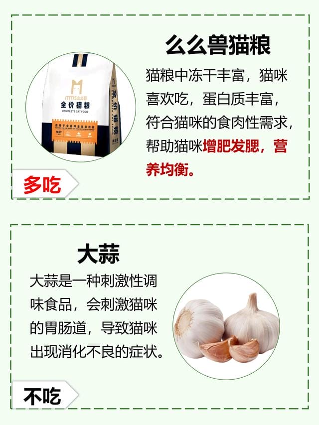 猫咪除了吃猫粮还吃些什么(猫咪除了吃猫粮) 猫咪除了吃猫粮还吃些什么 猫咪除了吃猫粮