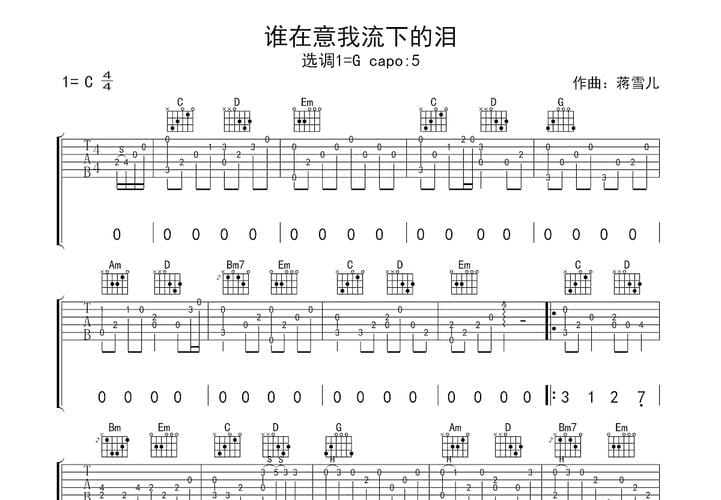 谁在意我流下的泪歌词 谁在意我流下的泪歌曲简介
