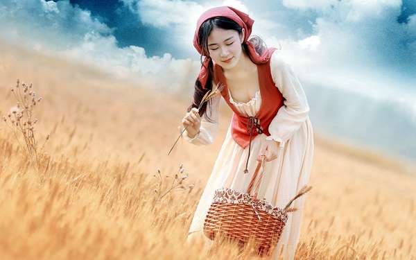 什么时候最适合挖蒲公英? 什么时候最适合挖蒲公英?