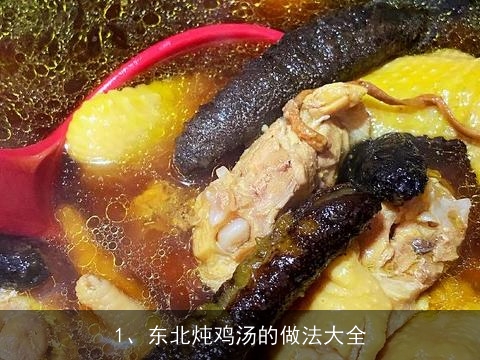 东北炖鸡汤的做法大全(东北炖鸡汤的做法大全窍门)