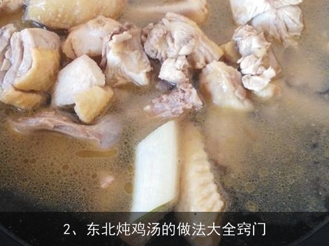 东北炖鸡汤的做法大全(东北炖鸡汤的做法大全窍门)