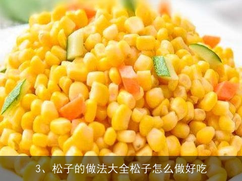 松子焖米饭做法(松子焖米饭做法大全)