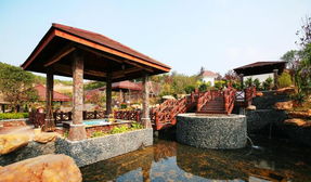咸宁碧桂园温泉附近酒店咸宁碧桂园温泉是真温泉吗(咸宁碧桂园温泉免费预约到什么时候)