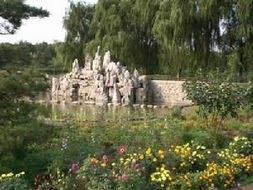北京鹰山森林公园门票(丰台区鹰山森林公园在那)
