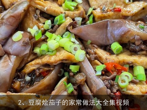 豆腐烩茄子的家常做法大全集(豆腐烩茄子的家常做法大全集视频)