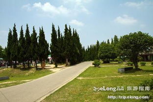 北京鹰山森林公园门票(丰台区鹰山森林公园在那)
