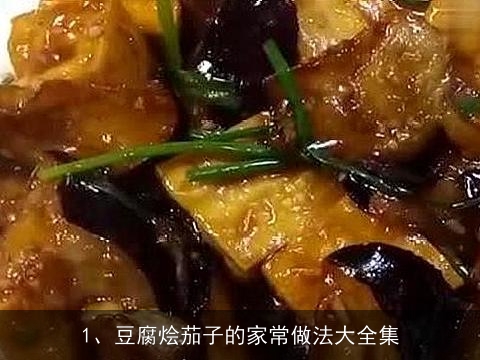 豆腐烩茄子的家常做法大全集(豆腐烩茄子的家常做法大全集视频)