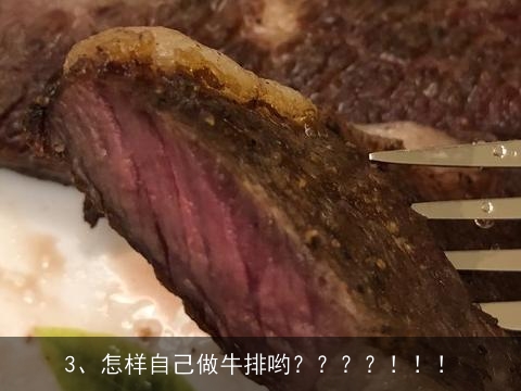 怎样制作牛排？？, 怎样在家自己做牛排