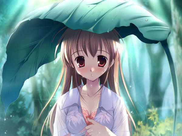 香蒲丽防晒霜真的假的?看这里的小技巧! 香蒲丽防晒霜真的假的?看这里的小技巧!