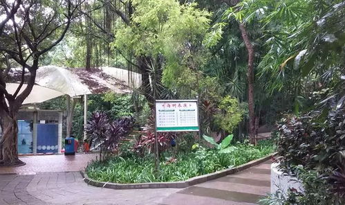 紫马岭公园现在还开门吗中山紫马岭动物园门票多少(中山紫马岭公园有动物吗)