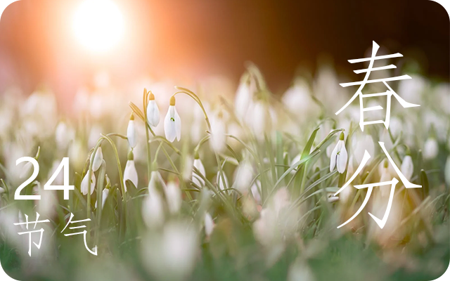 春分节气有哪些野菜可以吃 春分节气的习俗 春分节气有哪些野菜可以吃 春分节气的习俗