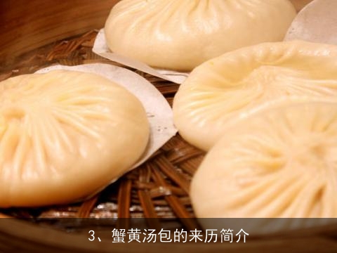 蟹黄汤包做法简介(蟹黄汤包做法简介怎么写)