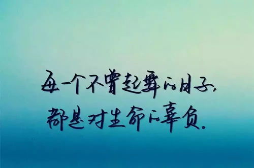 事业努力语录(把爱好做成事业的语录)