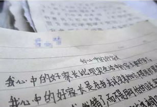 《渴望美梦成真》作文的简单介绍