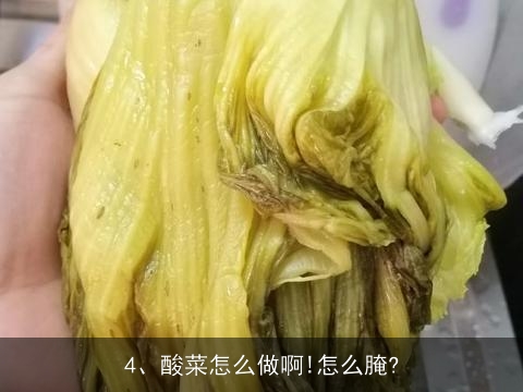 怎样制作酸菜, 在家自己腌酸菜怎么做