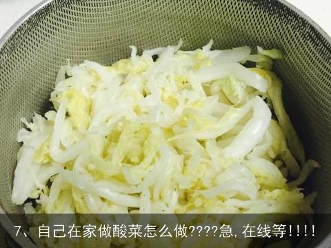 怎样制作酸菜, 在家自己腌酸菜怎么做