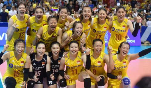 1988奥运会德国名单(1988年奥运会各国金牌排名)