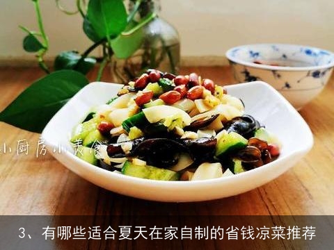 凉菜都有哪些做法简单 又实惠(凉菜都有哪些做法简单 又实惠视频)