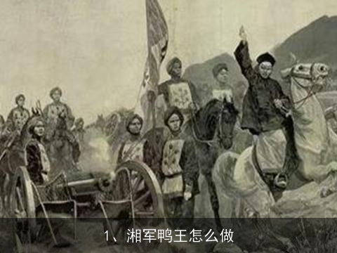 湘军鸭王怎么做, 啤酒鸭的做法