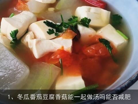 冬瓜香菇番茄豆腐汤的做法大全家常做法视频(冬瓜香菇番茄豆腐汤的做法大全家常做法视频教程)