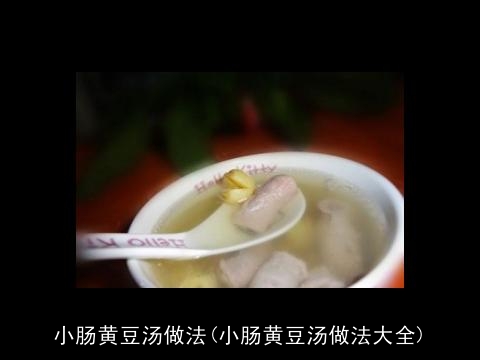 小肠黄豆汤做法(小肠黄豆汤做法大全) 小肠黄豆汤做法(小肠黄豆汤做法大全)