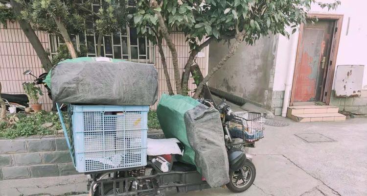 极客速运(探索极客速运服务的优势和创新)