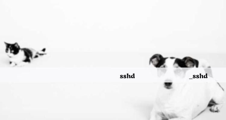 SSHD