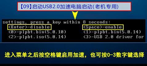 老猫桃U盘安装教程(详解老猫桃U盘安装步骤,轻松实现系统安装与启动)