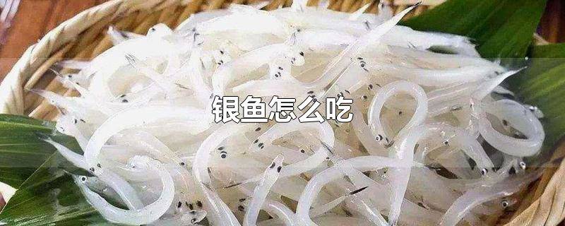 小银鱼怎么做好吃又简单 银鱼干怎么吃